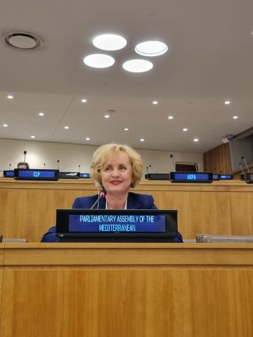 Sen. Kovács addresses the United Nations Committee of Experts on Public Administration (CEPA)