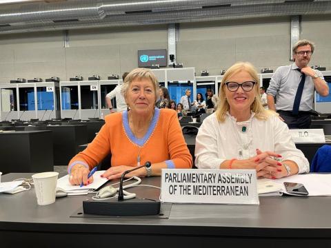 PAM contributed the 4th annual meeting of the United Nations Network on Migration