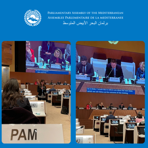 PAM Addresses Regional Sustainability Challenges at UNECE Forum